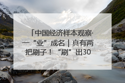 中国经济样本观察·一“业”成名｜真有两把刷子！“刷”出30亿级“颜值经济”