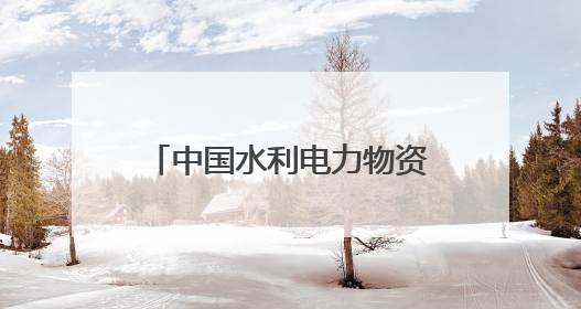 中国水利电力物资华南有限公司党员突击队勇当新能源市场开拓排头兵