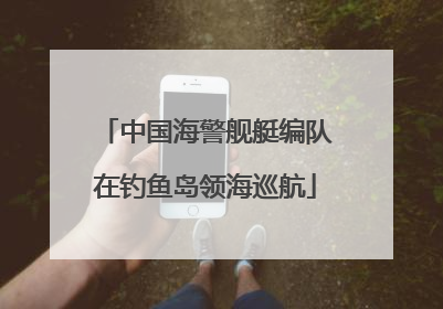中国海警舰艇编队在钓鱼岛领海巡航