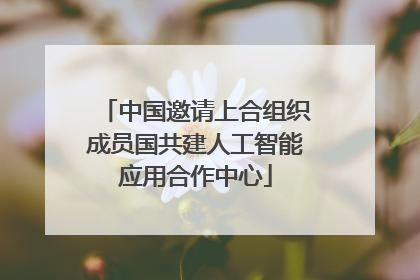 中国邀请上合组织成员国共建人工智能应用合作中心