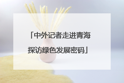 中外记者走进青海 探访绿色发展密码