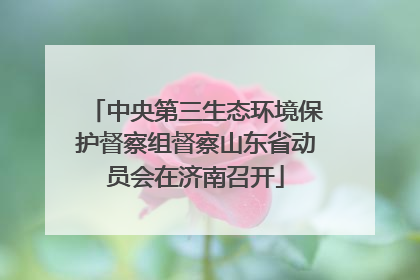 中央第三生态环境保护督察组督察山东省动员会在济南召开