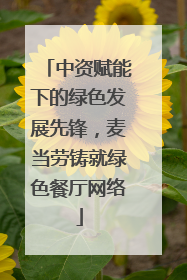 中资赋能下的绿色发展先锋，麦当劳铸就绿色餐厅网络