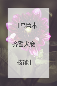 乌鲁木齐警犬赛技能