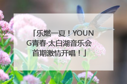 乐燃一夏！YOUNG青春·太白湖音乐会首期激情开唱！