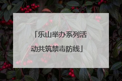 乐山举办系列活动共筑禁毒防线