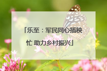 乐至：军民同心插秧忙 助力乡村振兴