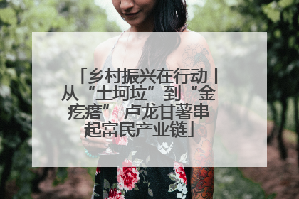 乡村振兴在行动丨从“土坷垃”到“金疙瘩” 卢龙甘薯串起富民产业链