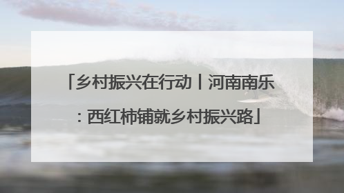 乡村振兴在行动丨河南南乐：西红柿铺就乡村振兴路