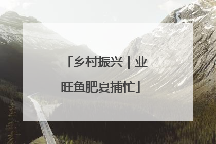 乡村振兴｜业旺鱼肥夏捕忙