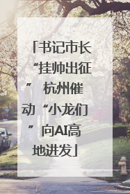 书记市长“挂帅出征” 杭州催动“小龙们”向AI高地进发