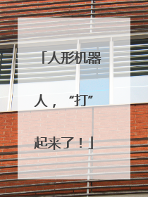 人形机器人，“打”起来了！