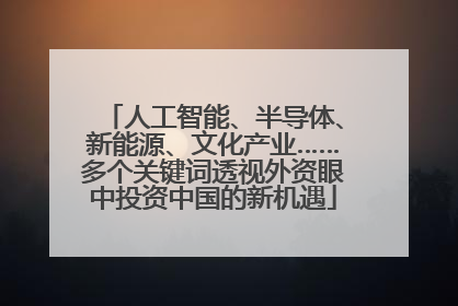 人工智能、半导体、新能源、文化产业……多个关键词透视外资眼中投资中国的新机遇