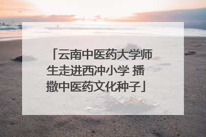 云南中医药大学师生走进西冲小学 播撒中医药文化种子