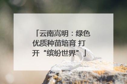 云南嵩明：绿色优质种苗培育 打开“缤纷世界”