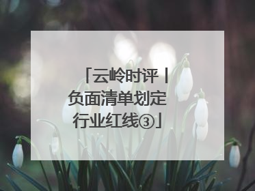云岭时评丨负面清单划定行业红线③
