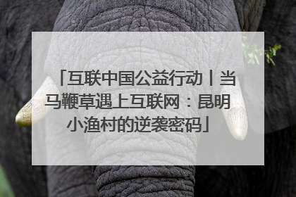 互联中国公益行动丨当马鞭草遇上互联网：昆明小渔村的逆袭密码