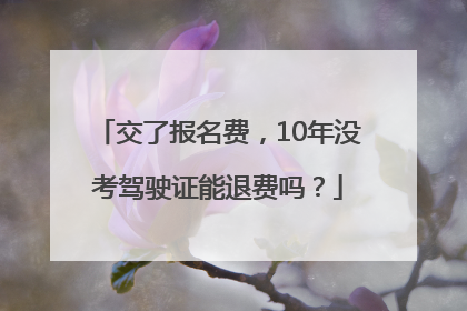 交了报名费，10年没考驾驶证能退费吗？