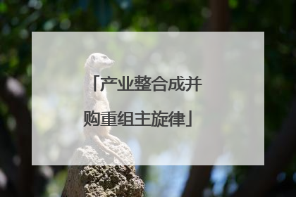 产业整合成并购重组主旋律