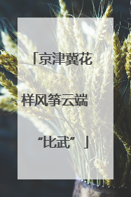 京津冀花样风筝云端“比武”