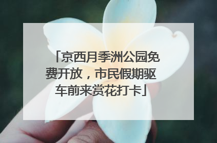 京西月季洲公园免费开放，市民假期驱车前来赏花打卡