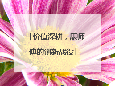 价值深耕，康师傅的创新战役
