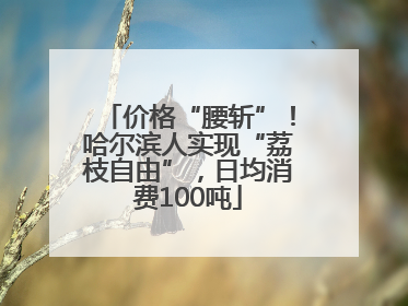 价格“腰斩”！哈尔滨人实现“荔枝自由”，日均消费100吨