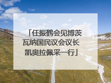 任振鹤会见博茨瓦纳国民议会议长凯奥拉佩采一行