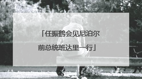 任振鹤会见尼泊尔前总统班达里一行