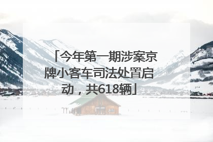 今年第一期涉案京牌小客车司法处置启动，共618辆