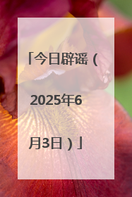 今日辟谣（2025年6月3日）