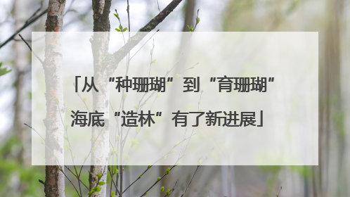 从“种珊瑚”到“育珊瑚” 海底“造林”有了新进展