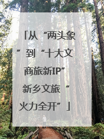 从“两头象”到“十大文商旅新IP” 新乡文旅“火力全开”