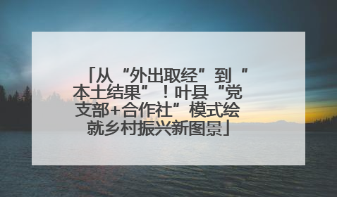 从“外出取经”到“本土结果”！叶县“党支部+合作社”模式绘就乡村振兴新图景