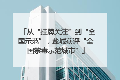 从“挂牌关注”到“全国示范”，盐城获评“全国禁毒示范城市”
