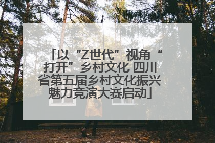 以“Z世代”视角“打开”乡村文化 四川省第五届乡村文化振兴魅力竞演大赛启动