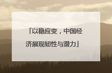 以稳应变，中国经济展现韧性与潜力