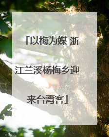 以梅为媒 浙江兰溪杨梅乡迎来台湾客