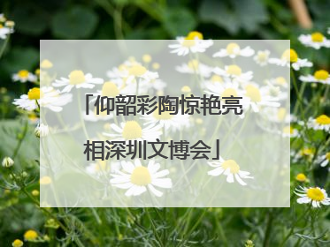 仰韶彩陶惊艳亮相深圳文博会