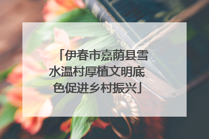 伊春市嘉荫县雪水温村厚植文明底色促进乡村振兴