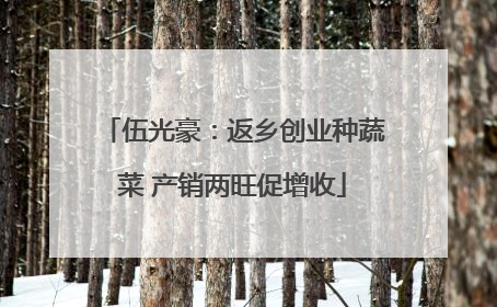 伍光豪：返乡创业种蔬菜 产销两旺促增收
