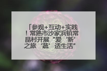 参观+互动+实践！常熟市沙家浜镇常昆村开展“爱‘新’之旅‘蔬’适生活”参观学习活动