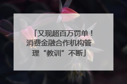 又现超百万罚单！消费金融合作机构管理“教训”不断