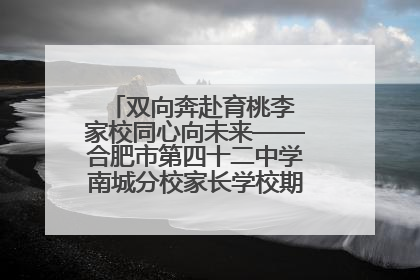 双向奔赴育桃李 家校同心向未来——合肥市第四十二中学南城分校家长学校期末总结会圆满召开