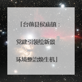 台前县侯庙镇：党建引领绘新景 环境整治焕生机
