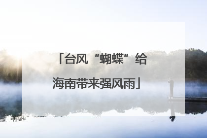 台风“蝴蝶”给海南带来强风雨