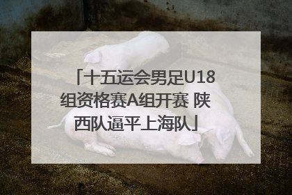 十五运会男足U18组资格赛A组开赛 陕西队逼平上海队