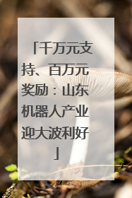 千万元支持、百万元奖励：山东机器人产业迎大波利好
