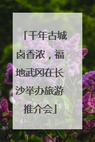 千年古城卤香浓，福地武冈在长沙举办旅游推介会