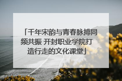 千年宋韵与青春脉搏同频共振 开封职业学院打造行走的文化课堂
